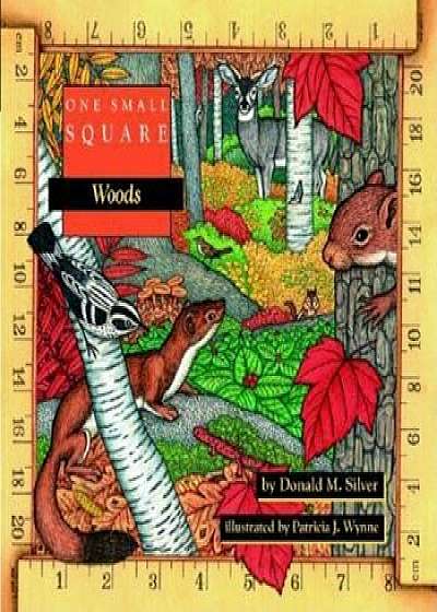 One Small Square: Woods, Paperback/Donald M. Silver