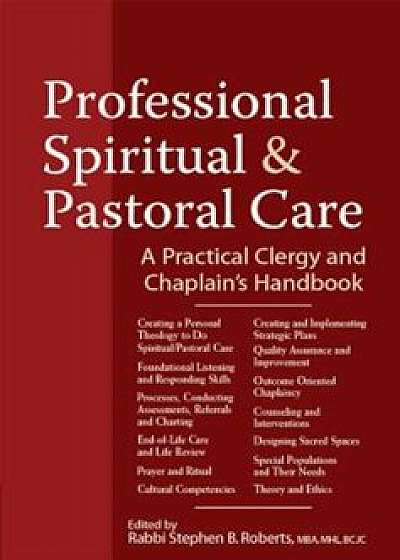 Professional Spiritual & Pastoral Care: A Practical Clergy and Chaplain's Handbook, Paperback/Nancy K. Anderson