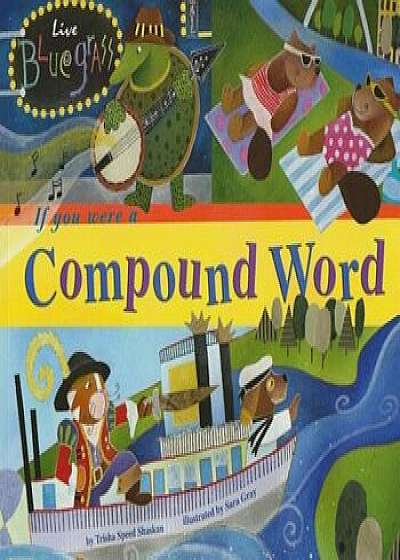 If You Were a Compound Word, Paperback/Trisha Speed Shaskan