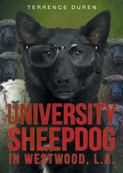 University Sheepdog in Westwood, L.A., Paperback/Terrence Duren