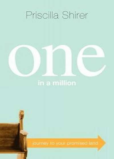 One in a Million: Journey to Your Promised Land, Paperback/Priscilla Shirer