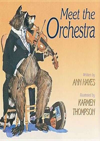 Meet the Orchestra, Paperback/Ann Hayes