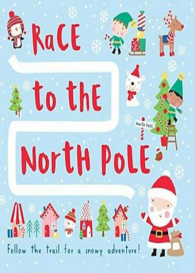 Race to the North Pole, Hardcover/Megan Roth