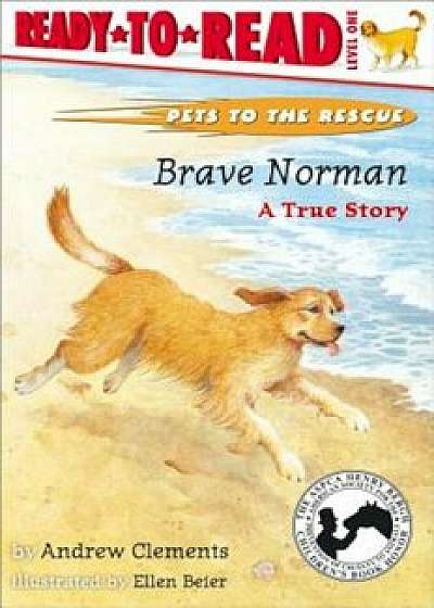 Brave Norman: A True Story, Paperback/Andrew Clements
