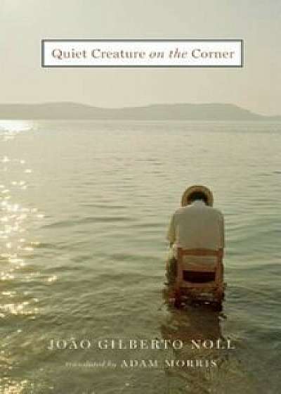 Quiet Creature on the Corner, Paperback/Joao Gilberto Noll