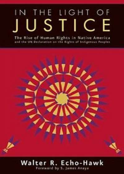 In the Light of Justice: The Rise of Human Rights in Native America and the Un Declaration on the Rights of Indigenous Peoples, Paperback/Walter R. Echo-Hawk