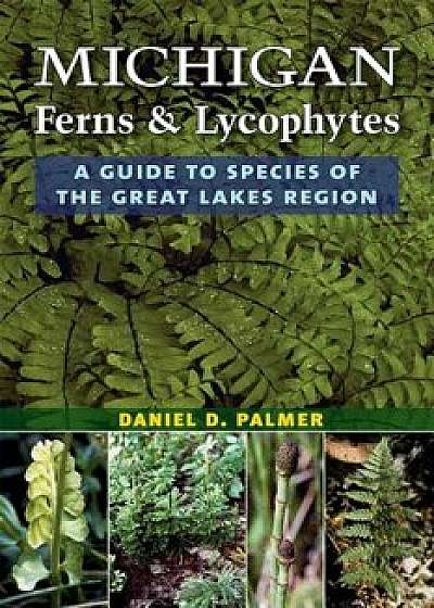 Michigan Ferns and Lycophytes: A Guide to Species of the Great Lakes Region, Paperback/Daniel D. Palmer