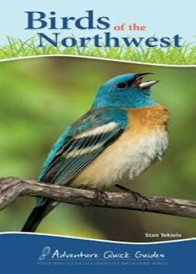 Birds of the Northwest, Paperback/Stan Tekiela