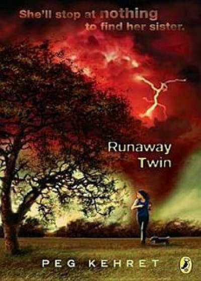 Runaway Twin, Paperback/Peg Kehret