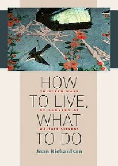 How to Live, What to Do: Thirteen Ways of Looking at Wallace Stevens, Paperback/Joan Richardson