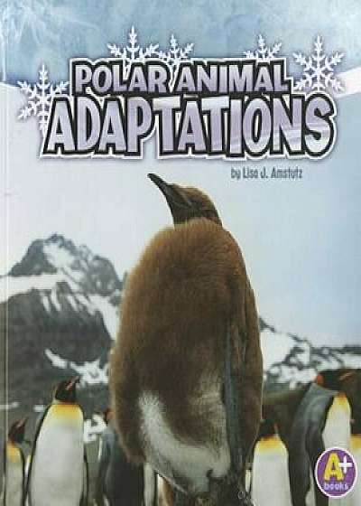 Polar Animal Adaptations, Paperback/Lisa J. Amstutz