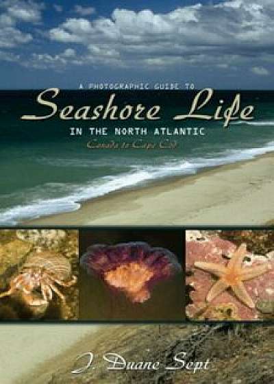 A Photographic Guide to Seashore Life in the North Atlantic: Canada to Cape Cod, Paperback/J. Duane Sept