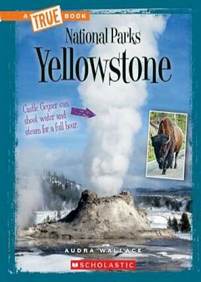 Yellowstone, Paperback/Audra Wallace