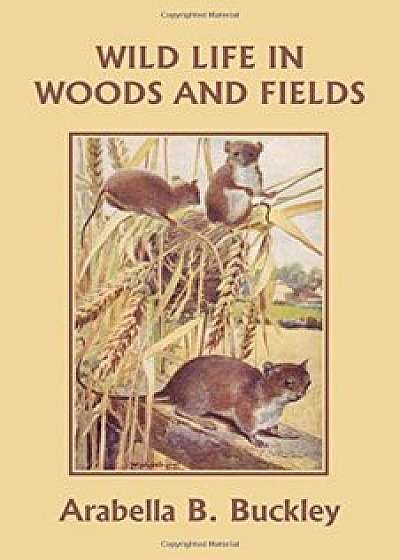 Wild Life in Woods and Fields (Yesterday's Classics), Paperback/Arabella B. Buckley