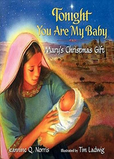 Tonight You Are My Baby Board Book: Mary's Christmas Gift, Hardcover/Jeannine Q. Norris
