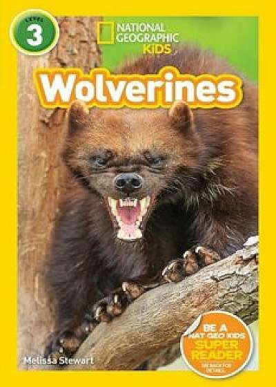 National Geographic Readers: Wolverines (L3), Paperback/Melissa Stewart