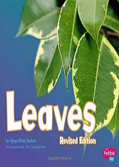 Leaves, Paperback/Vijaya Khisty Bodach