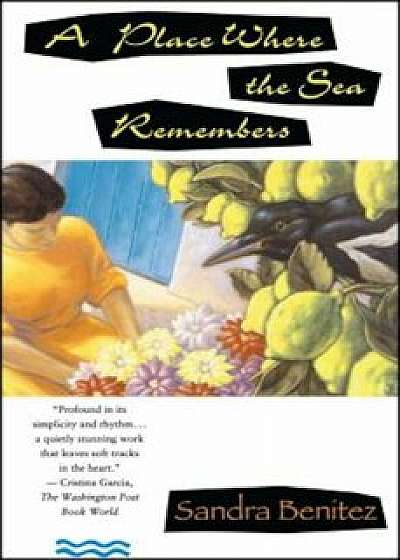 Place Where the Sea Remembers, Paperback/Sandra Benitez
