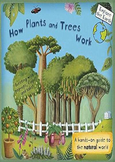 How Plants and Trees Work: A Hands-On Guide to the Natural World, Hardcover/Christiane Dorion
