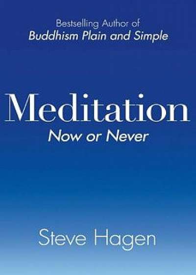 Meditation Now or Never, Paperback/Steve Hagen