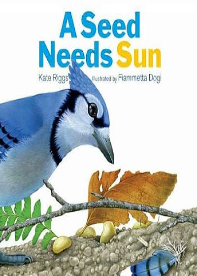 A Seed Needs Sun, Hardcover/Kate Riggs