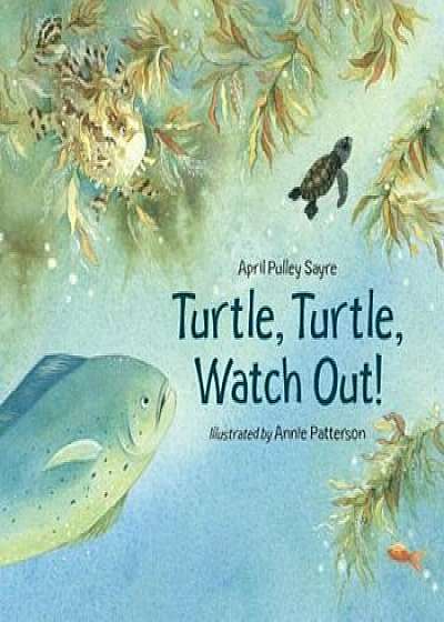 Turtle, Turtle, Watch Out!, Paperback/April Pulley Sayre