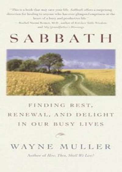 Sabbath: Finding Rest, Renewal, and Delight in Our Busy Lives, Paperback/Wayne Muller