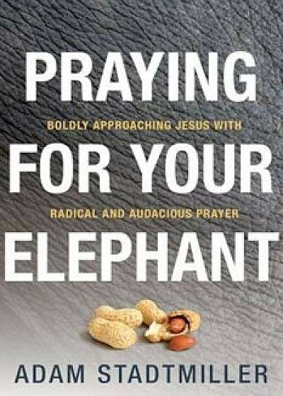 Praying for Your Elephant: Boldly Approaching Jesus with Radical and Audacious Prayer, Paperback/Adam Stadtmiller