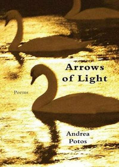 Arrows of Light, Paperback/Andrea Potos