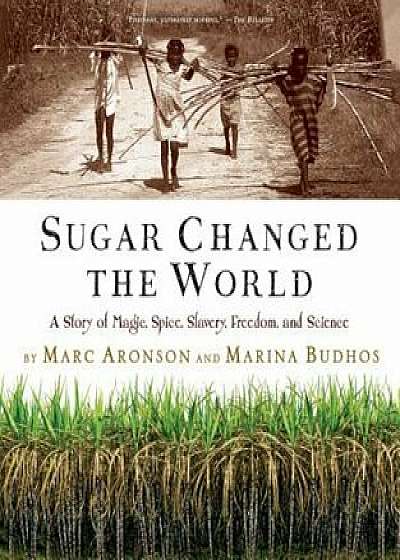 Sugar Changed the World: A Story of Magic, Spice, Slavery, Freedom, and Science, Paperback/Marc Aronson