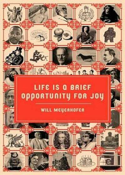 Life Is a Brief Opportunity for Joy, Paperback/Will Meyerhofer