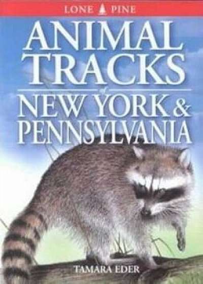 Animal Tracks of New York & Pennsylvania, Paperback/Tamara Eder
