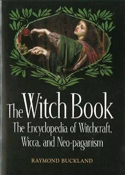 The Witch Book, Paperback/Raymond Buckland