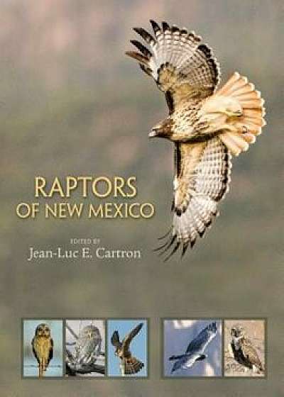 Raptors of New Mexico, Hardcover/Jean-Luc E. Cartron