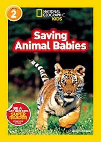 Saving Animal Babies, Paperback/Amy Shields