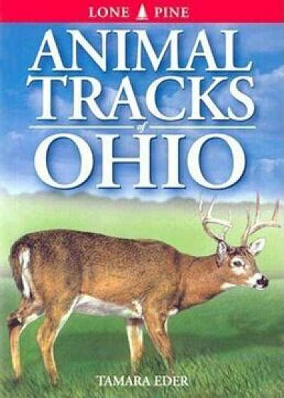 Animal Tracks of Ohio, Paperback/Tamara Eder