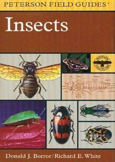 A Peterson Field Guide to Insects: America North of Mexico, Paperback/Donald J. Borror
