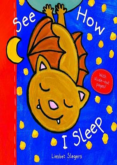 See How I Sleep, Hardcover/Liesbet Slegers
