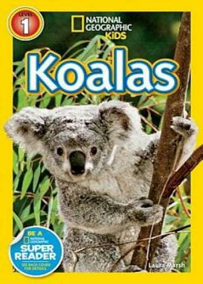 Koalas, Paperback/Laura Marsh