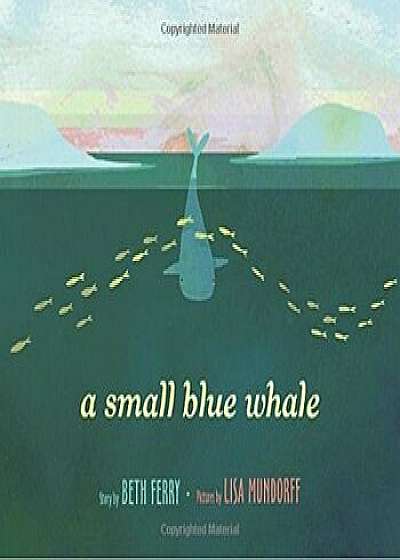 A Small Blue Whale, Hardcover/Beth Ferry