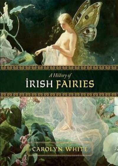 A History of Irish Fairies, Paperback/Perseus