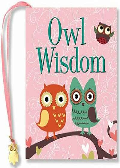 Owl Wisdom, Hardcover/Vicki Fischer