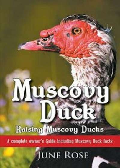 Muscovy Duck: Raising Muscovy Ducks, Paperback/June Rose