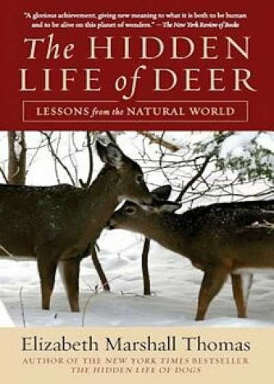 The Hidden Life of Deer: Lessons from the Natural World, Paperback/Elizabeth Marshall Thomas