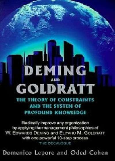 Deming and Goldratt: The Theory of Constraints and the System of Profound Knowledge, Paperback/Domenico Lepore