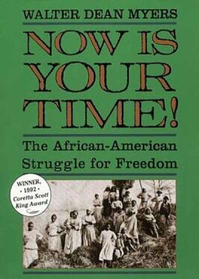 Now Is Your Time!: The African-American Struggle for Freedom, Paperback/Walter Dean Myers