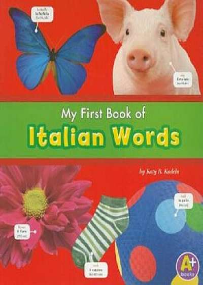 My First Book of Italian Words, Paperback/Katy R. Kudela