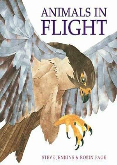 Animals in Flight, Paperback/Robin Page