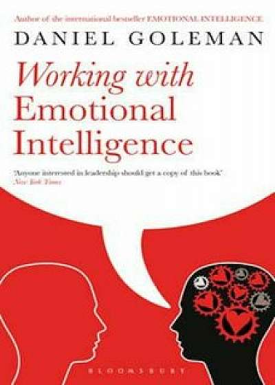 Working with Emotional Intelligence, Paperback/Daniel Goleman