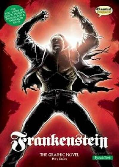 Frankenstein: The Graphic Novel, Paperback/Mary Shelley